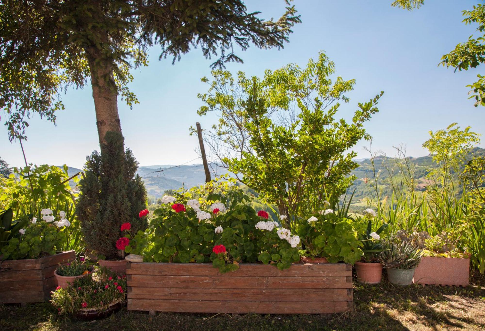 Moncrivel Rooms & Relax Benevello Dış mekan fotoğraf