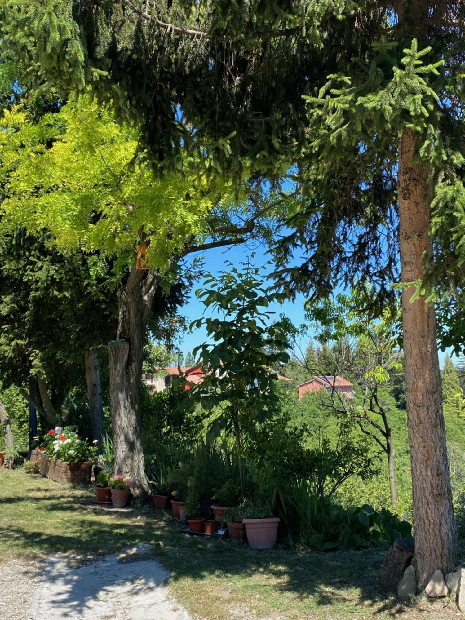 Moncrivel Rooms & Relax Benevello Dış mekan fotoğraf